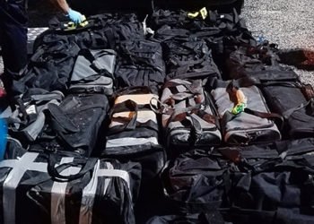 Trafic de cocaïne en Guyane : Près de 600 kg saisis