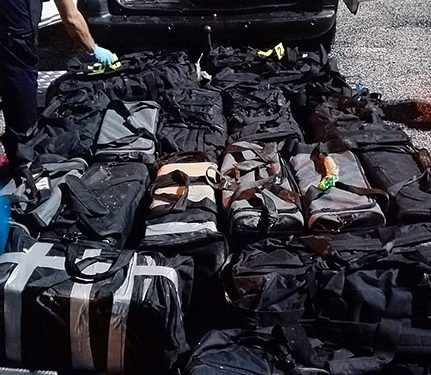 Trafic de cocaïne en Guyane : Près de 600 kg saisis