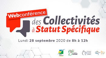 Web conférence : Saint-Martin participe à une réunion sur l’évolution statutaire