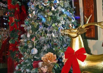 Conseil Territorial des Jeunes : Opération « 1 jouet 1 sourire »