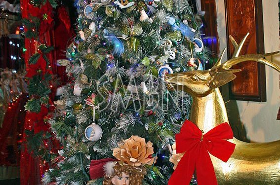 Conseil Territorial des Jeunes : Opération « 1 jouet 1 sourire »