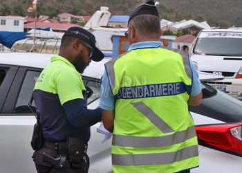 Course de L’Alliance : Sur la ligne de départ…