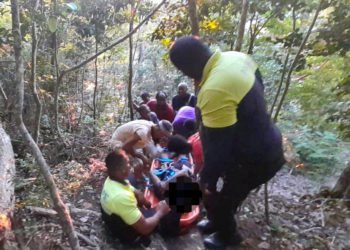 Course de L’Alliance : Sur la ligne de départ…