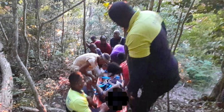 Course de L’Alliance : Sur la ligne de départ…