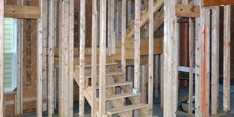 Lycée professionnel des îles du Nord : Une subvention pour l’ouverture d’un BTS section Bois