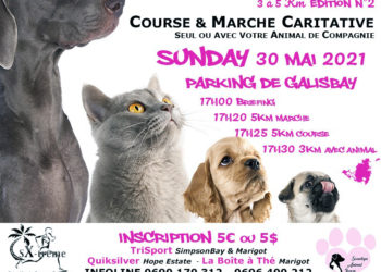 Manifestation sportive : 2e édition de la Miaou Run