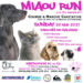 Manifestation sportive : 2e édition de la Miaou Run
