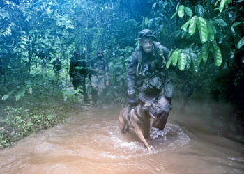 Orpaillage illégal : Opération Harpie en Guyane
