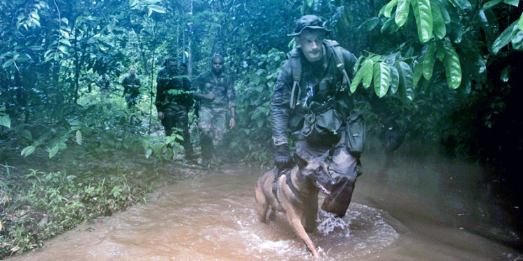 Orpaillage illégal : Opération Harpie en Guyane