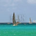 Carib Marine Regatta : Le SMYC organise une nouvelle régate