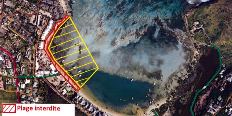 Environnement à Saint-Barth : Nettoyage d’une partie du chenal du lagon