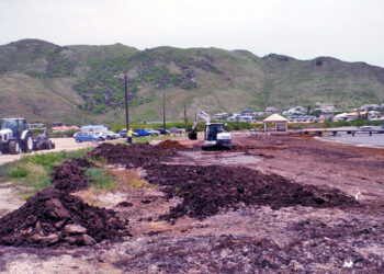 Ramassage des algues sargasses : Appui des services de l’Etat