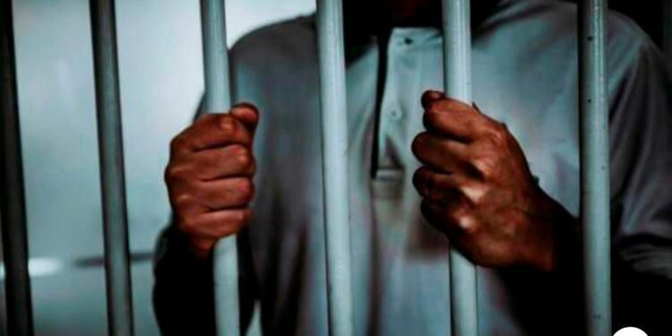 A Saint-Martin tout va bien… A Sint Maarten un peu moins !