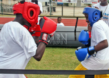 Animations sportives : Rendez-vous sur le plateau sportif de Concordia