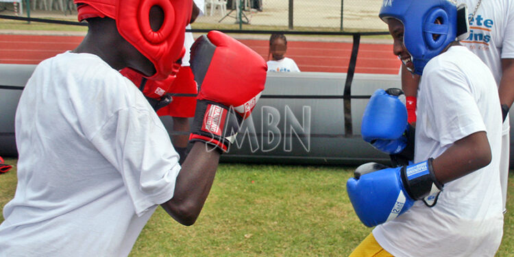 Animations sportives : Rendez-vous sur le plateau sportif de Concordia