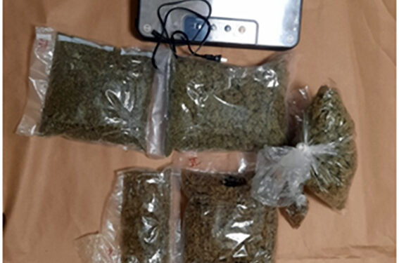 Trafic de drogue : Une interpellation à Sint Maarten