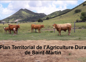 Plan territorial de l’agriculture durable de Saint-Martin : Signature de l’arrêté préfectoral