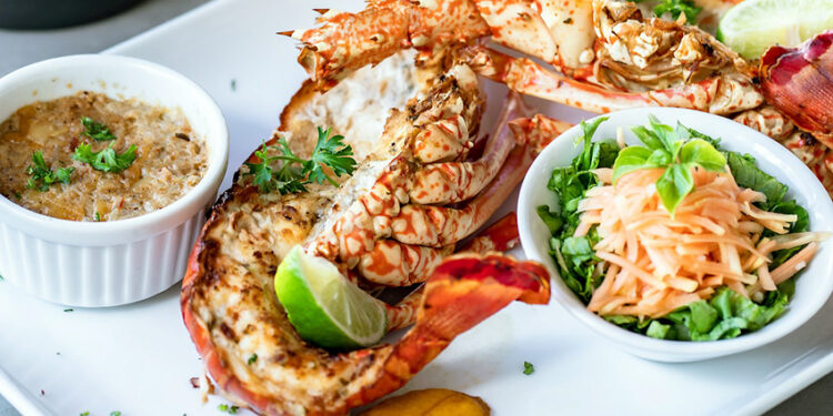 Festival de la Gastronomie : Demandez le programme… !