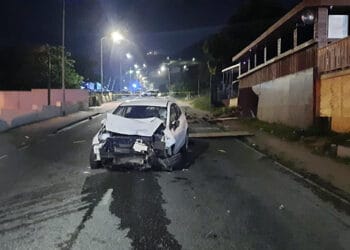 Piéton tué par une voiture : Un témoin recherché par la police