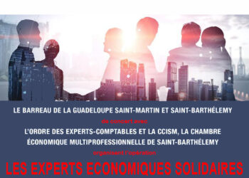 Entrepreneuriat / Opération « Les Experts Economiques Solidaires »