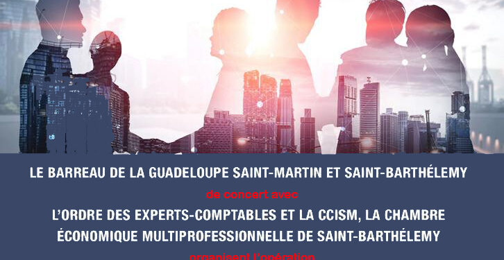 Entrepreneuriat / Opération « Les Experts Economiques Solidaires »