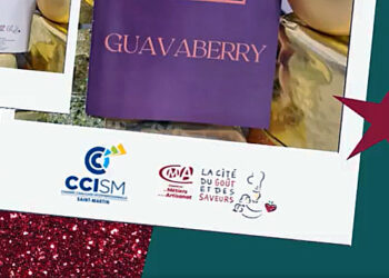 CCI de Saint-Martin : Adhésion au réseau Cité du Goût et des Saveurs