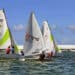 Nautisme : Première journée des Hoedemaker Series du Sint Maarten Yacht Club