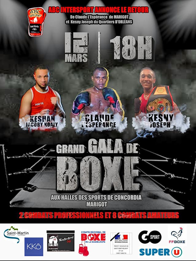 Gala international de Boxe anglaise  Montpellier Méditerranée Métropole