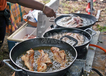 Fish Day 2022 : Le retour de la fête du Poisson… !