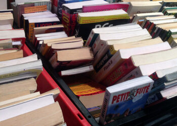 Foire aux livres et aux CD du Rotary-Club : Au profit des actions humanitaires locales