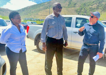 Sargasses : Echouement à Cul-de-Sac