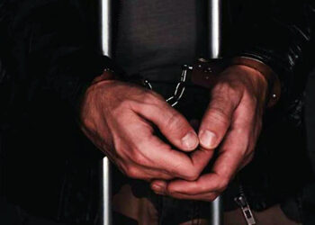 Trafic de drogue : Un suspect interpellé par l’équipe Alpha