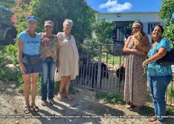 Stérilisation des animaux : L’association I Love My Island Dog reçoit un soutien