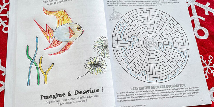 Association Les Fruits de Mer : Evènement festif et distribution gratuite de livres