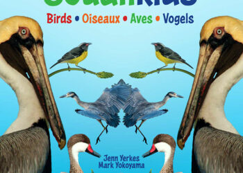 Publication de deux nouveaux livres sur les oiseaux : Distribution gratuite par l’association Les Fruits de Mer