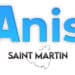 Parentalité Numérique : L’ANIS Saint-Martin déploie les ateliers TNE pour accompagner les familles